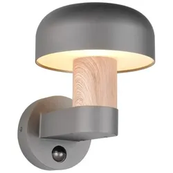 Trio T262569135 Außenwandleuchte FRASER  E27
