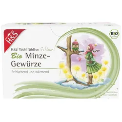 H&S Wintertee Bio Minze-Gewürze Filterbeutel 20X2.0 g