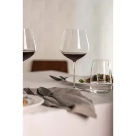 Schott Zwiesel VUELO Rotwein- und Weißweinglas 0,4 l 8-tlg.