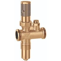 CALEFFI Frostschutzventil für Wärmepumpen + Außenluftfühler 1 1/4