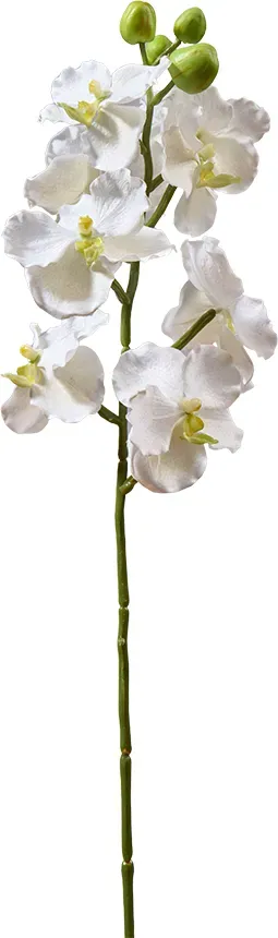 Orchidee 58cm 8Blüten weiß