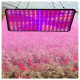 Rosnek Pflanzenlampe 256 LEDs Pflanzenleuchte für Zimmerpflanzen Gemüse und Blumen, LED Pflanzen Wachsen licht, Pflanzenlampe LED rosa