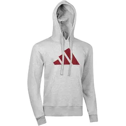 Hoodie ADIDAS PERFORMANCE "Perfo Script Graphic Hoody" Gr. M, grau, Sweatshirts, Herren, M, Obermaterial: 100% Baumwolle