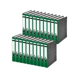 Leitz Wolkenmarmor-Ordner DIN A4 52 mm Grün 20 St.
