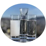 Topkapi 200.390-3-tlg Gedeck-Set aus Glas für Raki/Ouzo “Mustafa Bey”, 2 Raki Ouzo Gläser und eine Karaffe, Bleifreies Kristallglas, Made in Germany