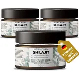xtra fuel Shilajit Harz Original Himalaya Mumijo 3 x 30 g