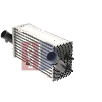 AKS DASIS Ladeluftkühler 567022N