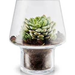 Eva Solo Blumentopf für Sukkulenten 15 cm aus Glas