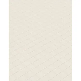 Erismann Vliestapete Versailles Carree 10 m x 0,53 m Weiß 34193