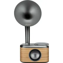 Sangean CP-100D beige