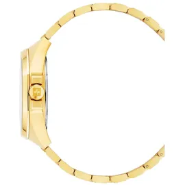 Swiss Alpine Military Typhoon Quarz gold 42 mm 7005.1117SAM