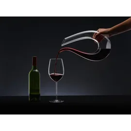 Riedel Dekanter Amadeo - transparent,