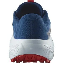 Salomon Alphaglide Herren Blau 44