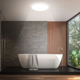 Briloner - LED Deckenlampe LED Deckenleuchte Badlampe Staub- und Spritzwasserschutz Bad