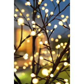 Bonetti Baum, schwarz, BONETTI