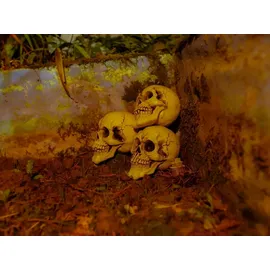 Europalms Halloween Totenkopf 3 St.