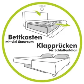 Jockenhöfer Ecksofa mit Bettfunktion, und Bettkasten, Orlando 257x82x215 cm",