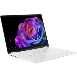Acer Swift Edge 14 AI OLED SFE14-51T-75RZ Intel Core Ultra 7 258V 32 GB RAM 1 TB SSD