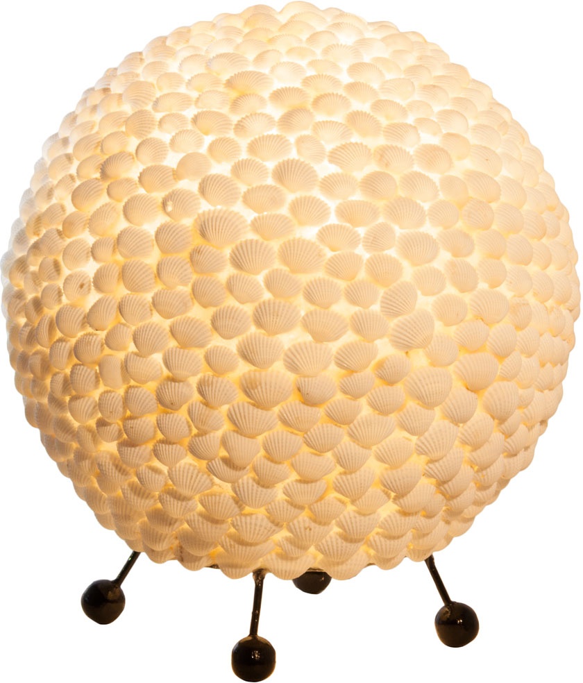 Muschel Tisch Lampe Fernbedienung Wohn Zimmer Kugel Design Leuchte dimmbar weiß im Set inkl. RGB LED Leuchtmittel