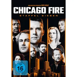 Chicago Fire - Staffel 7  [6 DVDs]