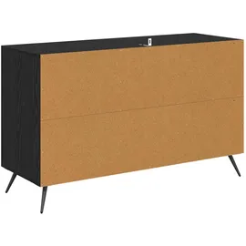 vidaXL Sideboard 100 x 36 x 60 cm Schwarz / Eichen-Optik