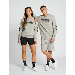 Hmlrainbow Sportswear Sweatshirt - Grau - XL