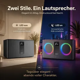 Ferguson Regent 300BT schwarz