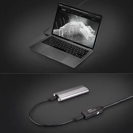 Lindy USB-A auf USB-C Adapter 10 m Schwarz