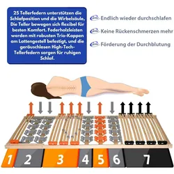 Mein-Regal Coemo KombiFlex Federleisten-Tellerlattenrost Kopfteil verstellbar 80x200 cm