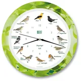 KOOKOO Funkwanduhr Singvögel (Funkquarzwerk) grün