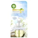 Airwick AIR WICK Duftölflakon Nachfüller Cotton & Weißer Flieder