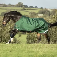 Horseware Rambo Original Turnout Lite 100g 130 cm Blau/Grün/Rot