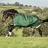 Horseware Rambo Original Turnout Lite 100g 130 cm Blau/Grün/Rot