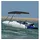 vidaXL Sonnenschutz 4-Bow Bimini-Top 243 x 196 x 137 cm Schwarz