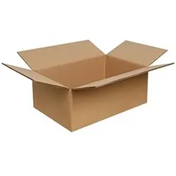 Einzelne Kartonschachtel 350x250x200mm 20un