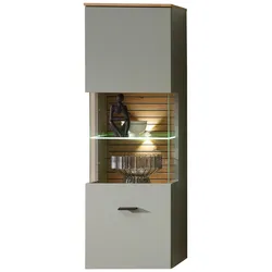 Hängevitrine Memphis Grün/Eiche Artisan