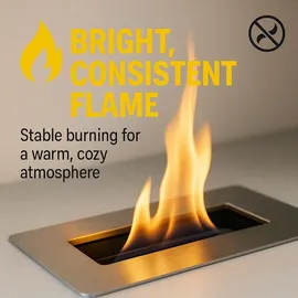 Posh Bioethanol 2 x 1 l mit Zimtduft 96,6%