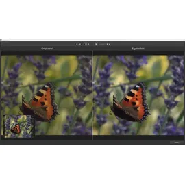 Ashampoo DENOISE #6 ; 1 Gerät Dauerhaft