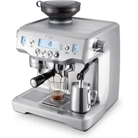 Sage the Oracle trüffelschwarz