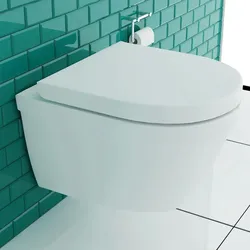 Alpenberger Toilette Spülrandlos mit Nanobeschichtung & WC-Sitz Soft Close- Hygienisch & Edel