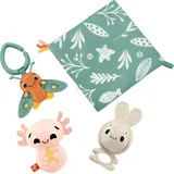 Fisher-Price HRB17 Lernspielzeug