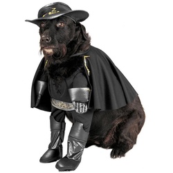 Rubie ́s Hundekostüm Zorro schwarz S