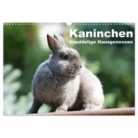 Calvendo Kaninchen - knuddelige Hausgenossen (Wandkalender 2026 DIN A3