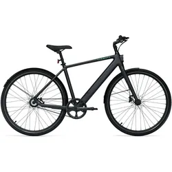 TENWAYS Elektro-Citybike E-Urban CGO600PRO l, schwarz XS