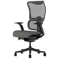 FlexiSpot Bürostuhl BS8 Pro Stoff grau, Gestell grau
