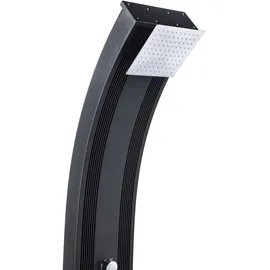 Formidra Dada Curve Anthrazit 40 l