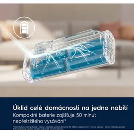 Electrolux EP71B14WET Besenstaubsauger - Blue