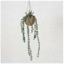 Boltze Topfpflanze "Eukalyptus" in Grün - (H)78 cm