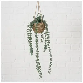 Boltze Topfpflanze "Eukalyptus" in Grün - (H)78 cm