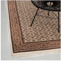 rug n' roll Orientteppich Indo Herati, klassisch, strapazierfähig, pflegeleicht, Rechteckig, handgeknüpft beige 40 cm x 60 cm